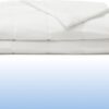 Cooling Comforter –  White Blanket – All Season Blanket – Lightweight, Breathable, Pet Hair Resistant – Hypoallergenic, Anti Odor  Comforter Set for Hot Sleepers