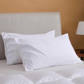 White Pillow Cases Queen Size Set of 2, Brushed Microfiber Pillowcases 2 Pack with Envelope Closure, Super Soft Breathable Pillowcase（White, 20x30 Inch）
